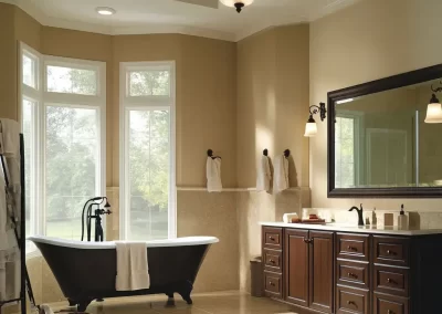 Remodeler (20)